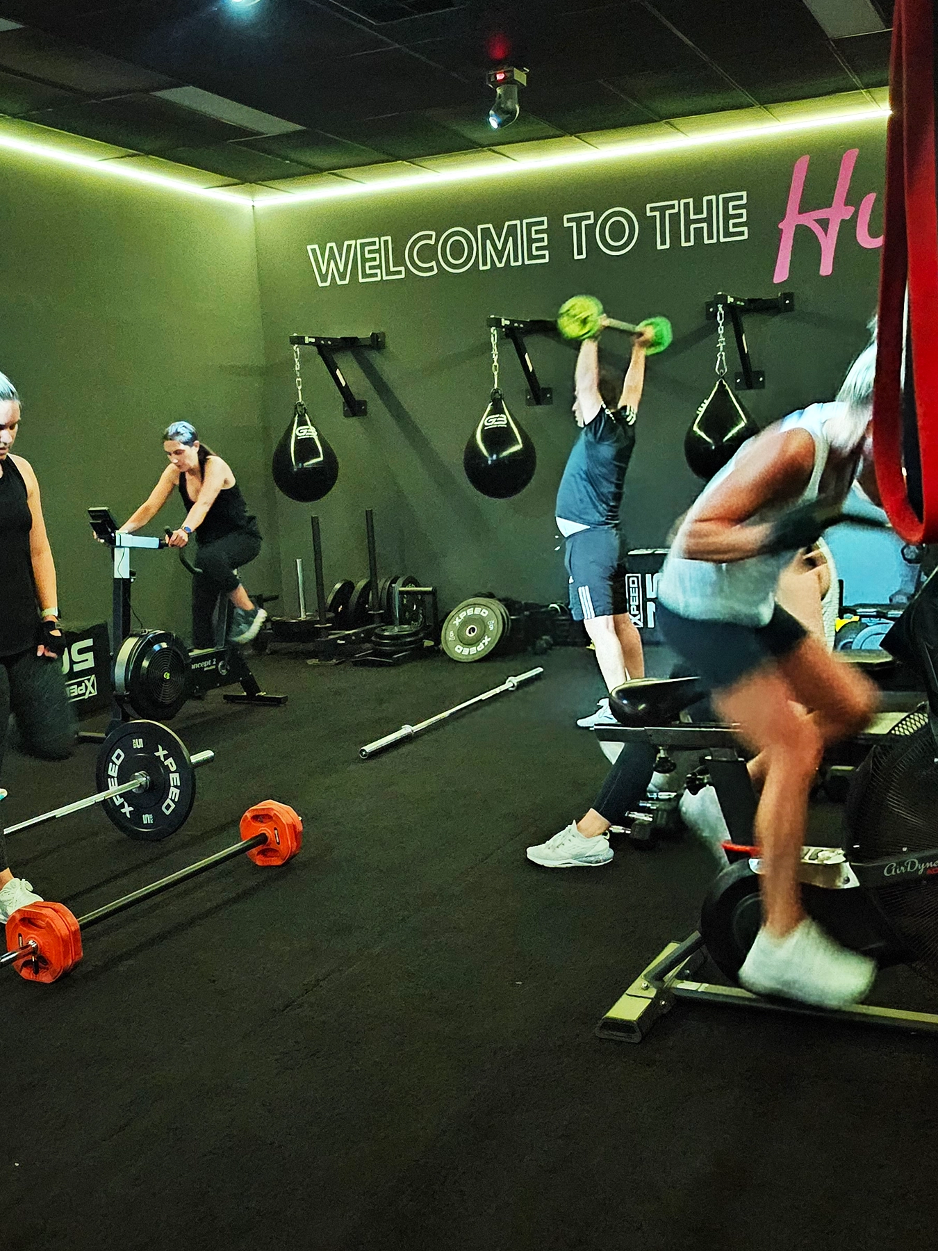 people working out at the gym