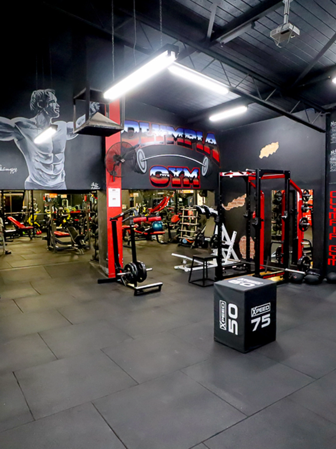 olympia gym equipment