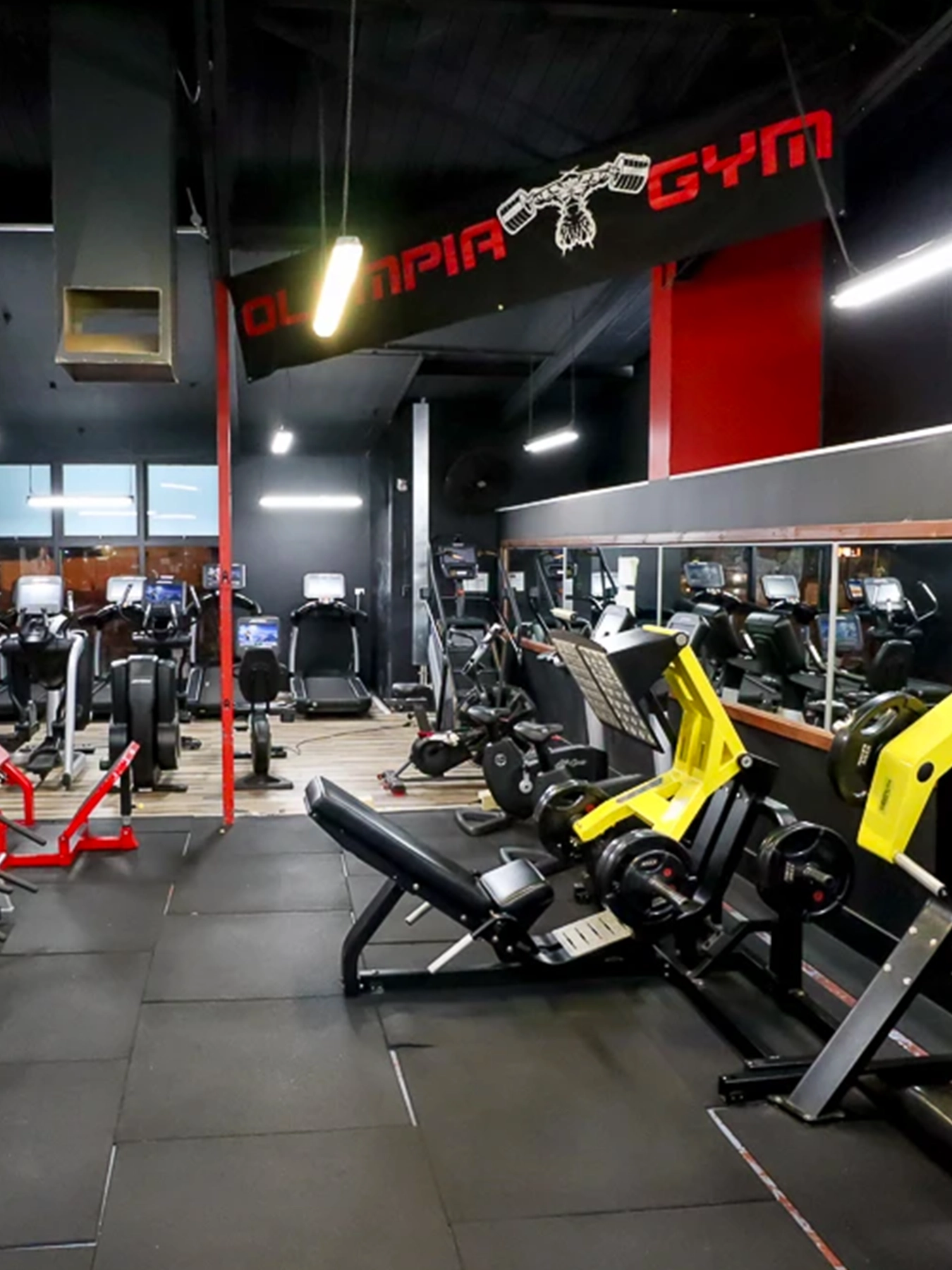 olympia gym equipment