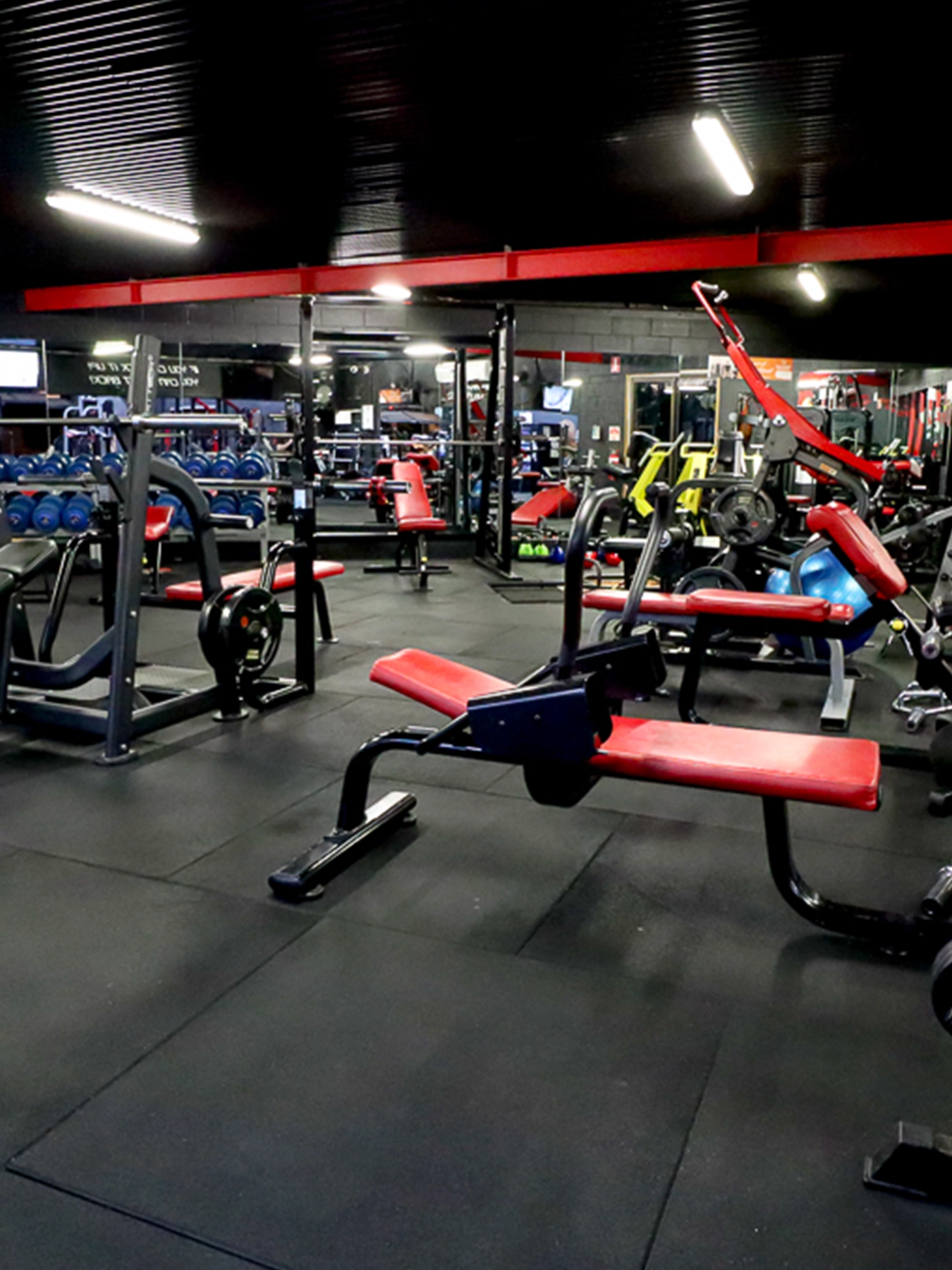 gym equipment benches