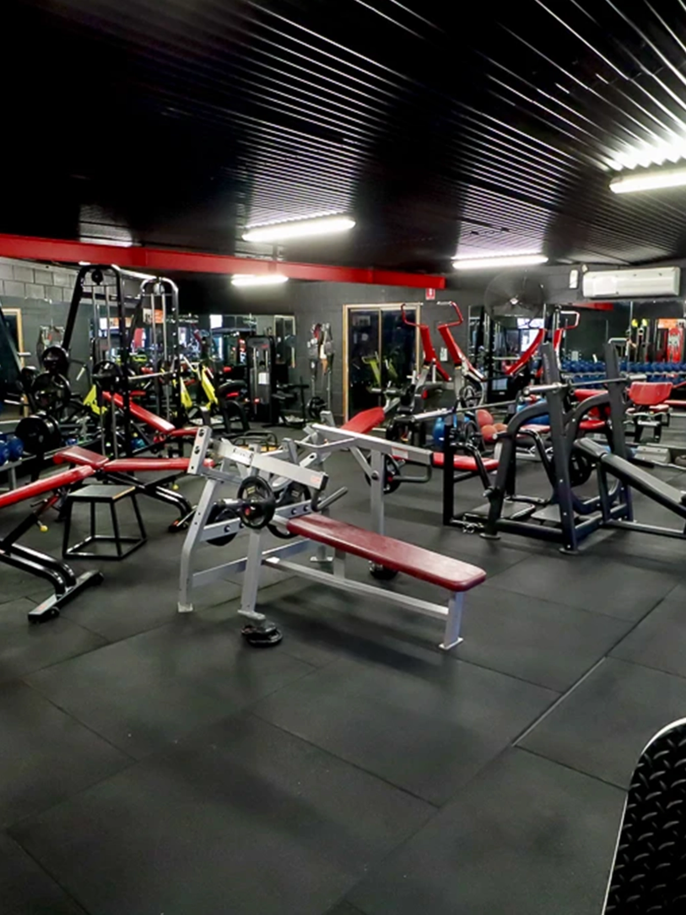 gym equipment benches